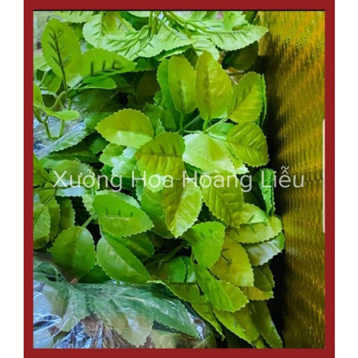 Lá hoa hồng gân, lá hồng 6 nhánh, lá hoa cúc giả