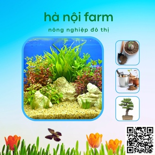 Đất núi lửa AKADAMA Nhật bản - 1kg