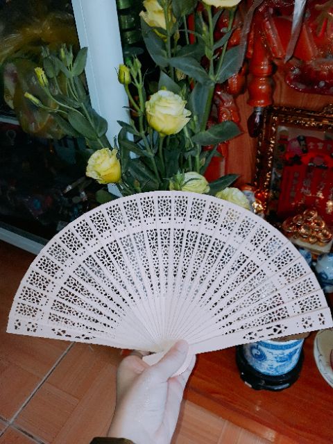 Tiền xu Mai hoa 10 cánh rời(mai hoa thập toàn) | BigBuy360 - bigbuy360.vn