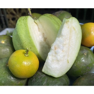 🍀 1kg Ổi Nữ Hoàng giòn ngọt tự nhiên