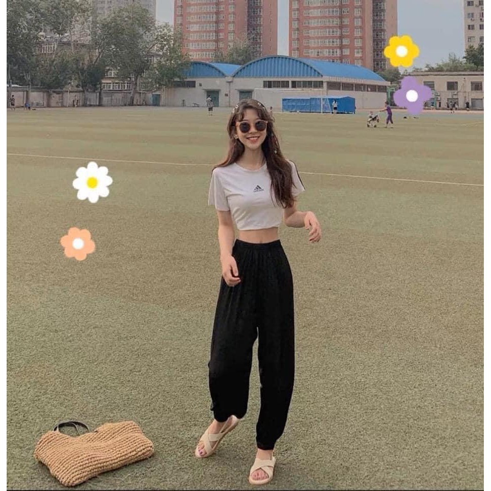 QUẦN ĐŨI ALIBABA 149K/2c