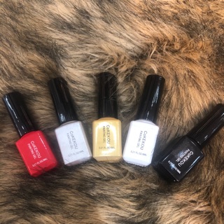 Cọ nét sơn gel cokekou