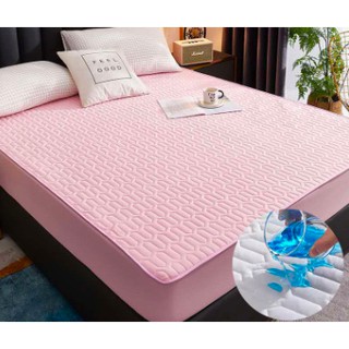 Ga Chống Thấm Cotton Cao Cấp + Gối