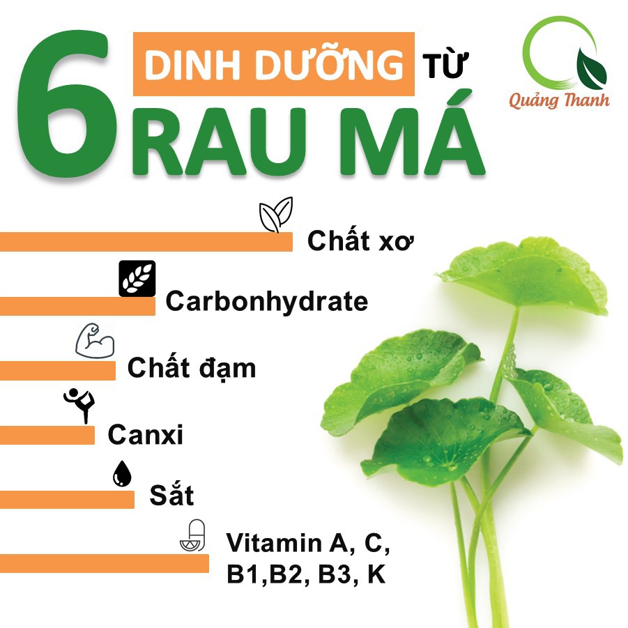 [Mã BMBAU50 giảm đến 50K đơn 99K] Bột rau má nguyên chất sấy lạnh Quảng Thanh (100g)