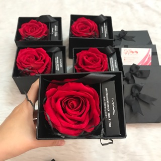 Hộp Hoa Hồng Kèm Son Mac Chính Hãng