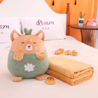 SÉT GẤU BÔNG CÓ MỀN 3in1 GẤU KIWI