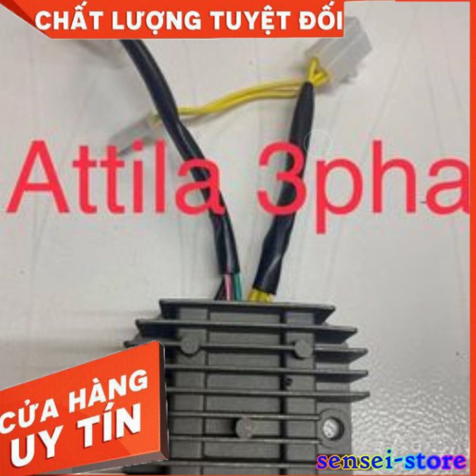 Giá Ưu Đãi Sạc Attila 2 Pha + 3 Pha Để Chế Độ Cho Xe Máy_Sensei-Store