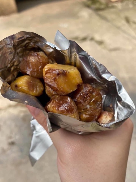 HẠT DẺ TRÙNG KHÁNH