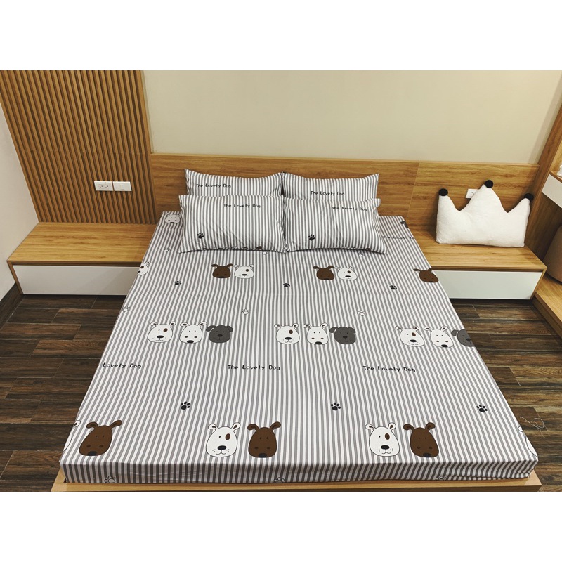 Ga Gối Polly Senky nhập các mẫu kẻ | BigBuy360 - bigbuy360.vn