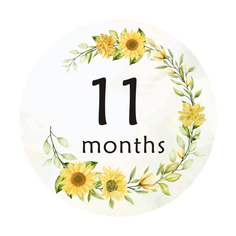 Set 12 Sticker Đánh Dấu Cột Mốc Phát Triển Theo Tháng Cho Bé 1-12 Tháng Tuổi