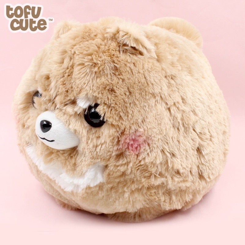 AMUSE POOM DOG TOFU CUTE 🌼🌼