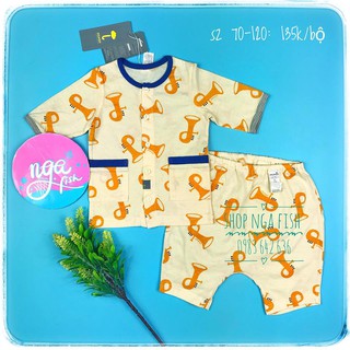 Bộ cộc cotton giấy Moimoln