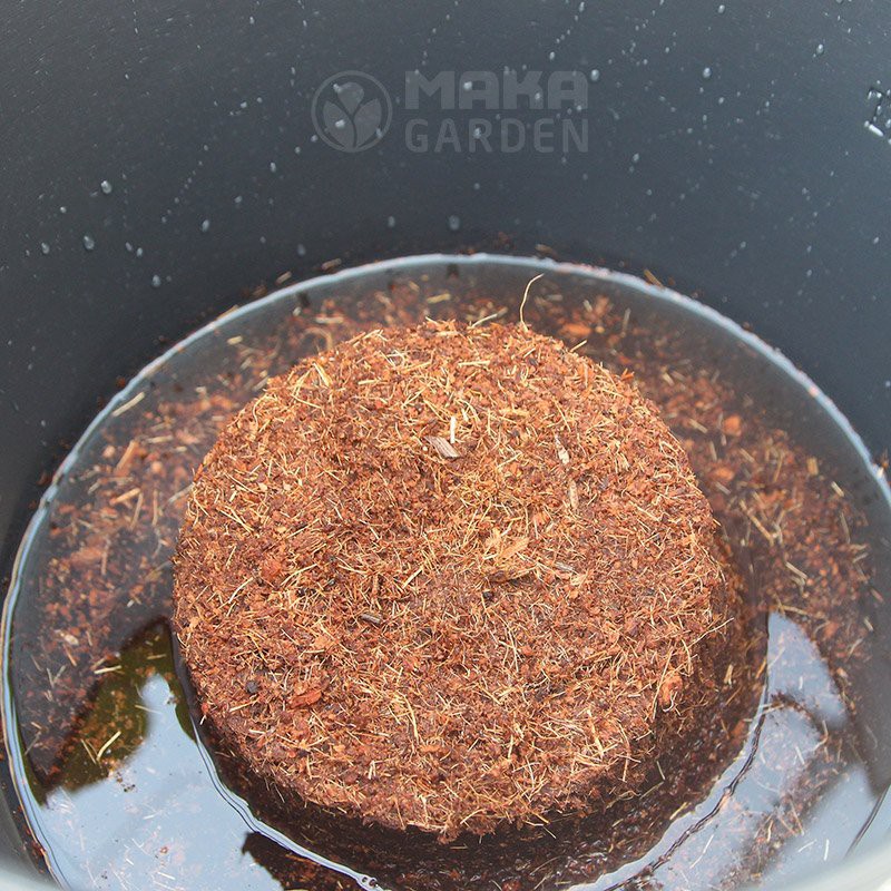 Viên Nén Xơ Dừa Trồng Cây Batrivina - Viên 450Gr - Mụn Sơ Dừa Bánh Lớn, Nở Gấp 5 Lần, Ươm Hạt, Trồng Rau, Trộn Giá Thể
