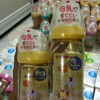 Bình Pigeon thần thánh 240ml