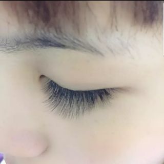 mi volume hoa sơn trà 9D mã xec015