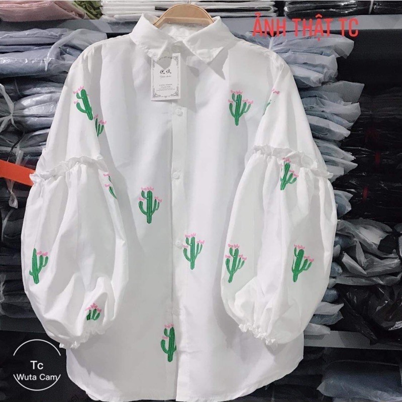 Áo sơ mi xương rồng TC45