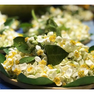 Nước cất hoa bưởi Pomely