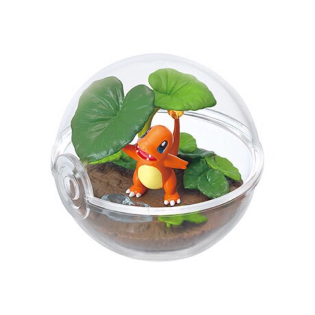 Mô hình quái thú Terrarium_Charmander