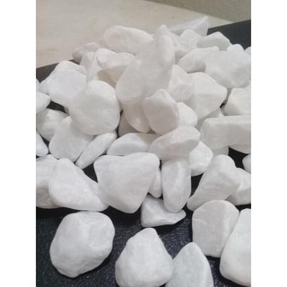 Sỏi trắng trải nền cho bể cá không gây đục nước