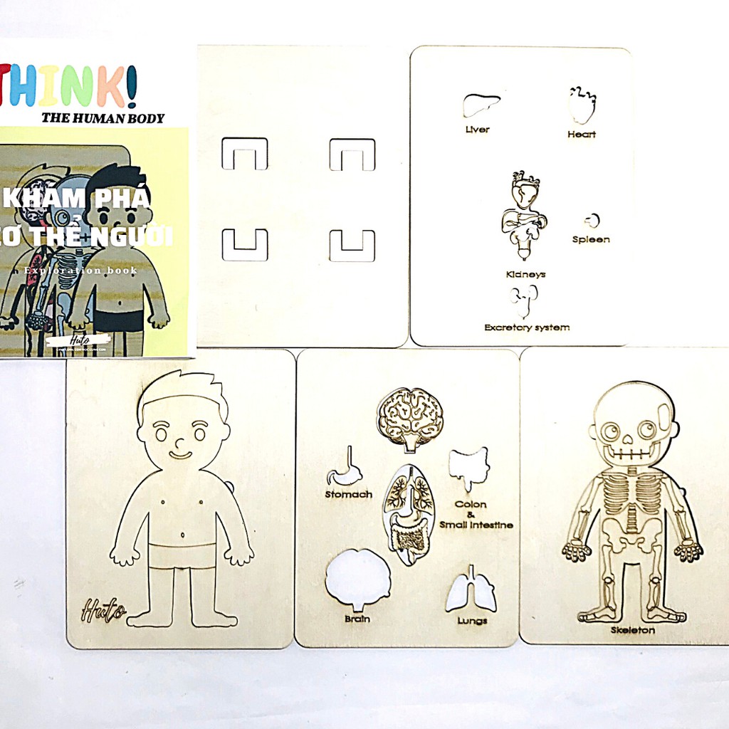 Đồ Chơi Tranh Ghép Cơ Thể Người 3D Bằng Gỗ