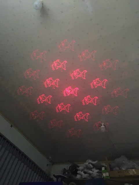 Laser led gắn phía sau xe trang trí