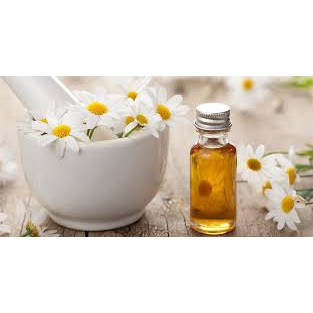 Chiết xuất Cúc La mã | BigBuy360 - bigbuy360.vn