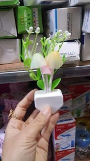 2 cái Đèn ngủ  nấm