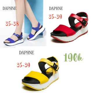 Giày hãng Daphne Ondul Shoebox thanh lý sập giá note size khi order