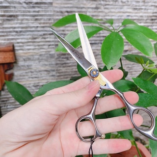 Bộ kéo cắt tóc JASON Đá xanh 6.0 inch