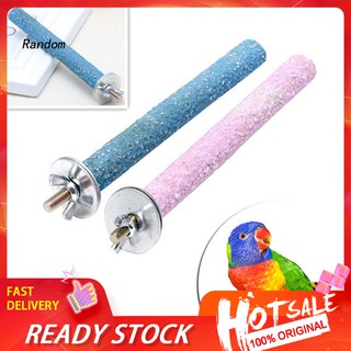 Cầu Mài Móng Gắn Lồng Chim Cho Vẹt Cưng