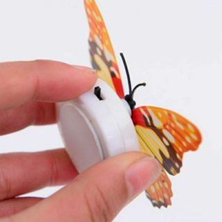 Đèn led bướm lung linh trong đêm