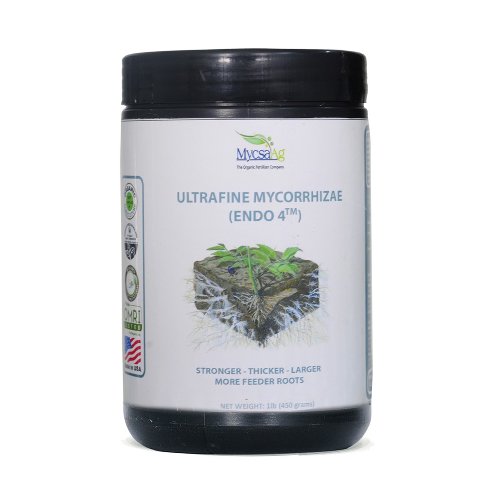 NẤM RỄ CỘNG SINH - NẤM RỄ TRONG (MỸ) (MYCORRHIZA - ENDOMYCORRHIZAL FUNGI)