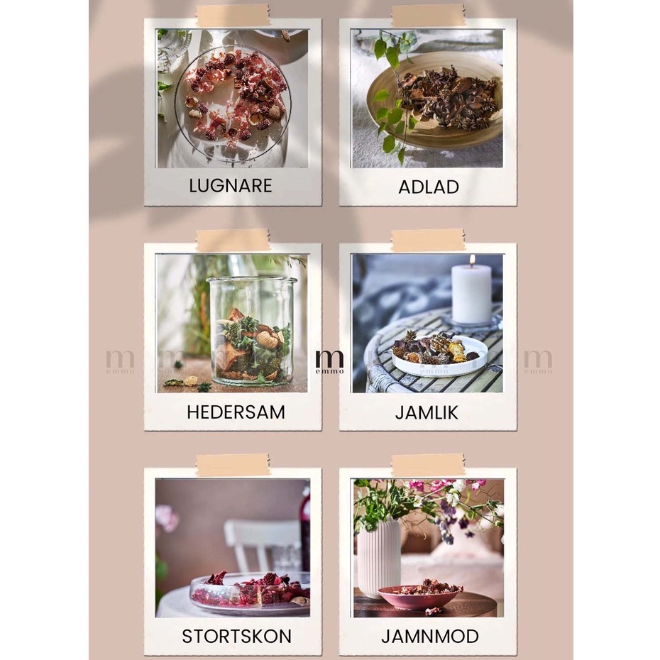 HOA KHÔ THƠM  IKA CHÍNH HÃNG - 6 MÙI HƯƠNG