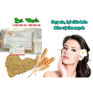 Đại Mạch 1 Kg (Lúa Mạch) - Ngũ Cốc Dinh Dưỡng