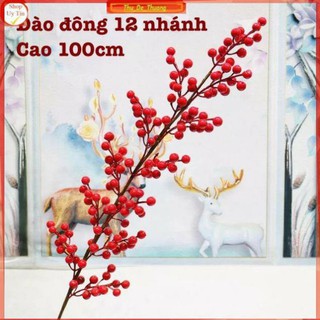 Hoa giả - Đào đông