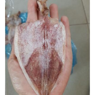 20 con mực khô dày mình, ngọt thịt