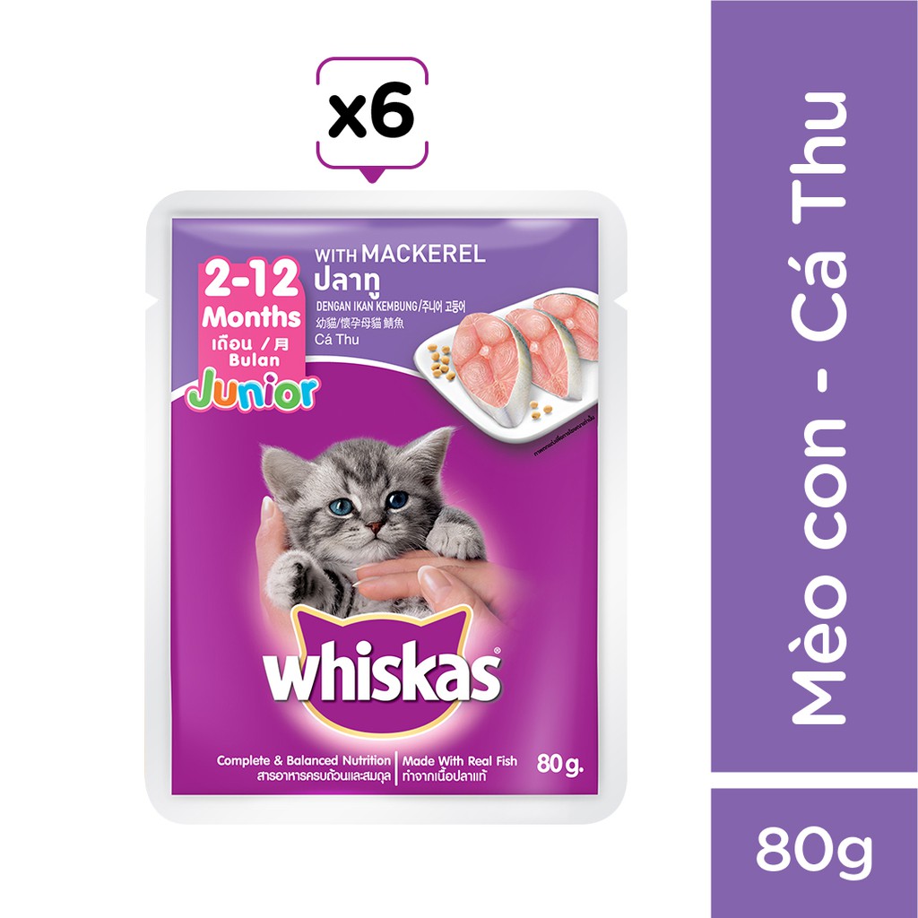 Bộ 6 túi thức ăn mèo con Whiskas vị cá thu túi 80g/túi