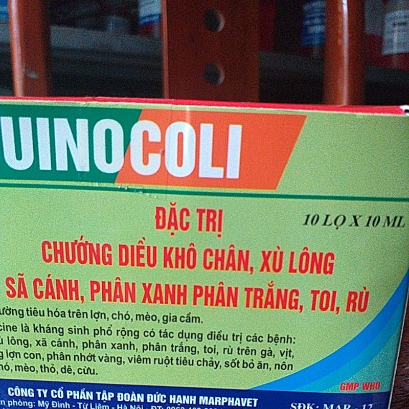 Diều đầy hơi phân xanh trắng toi rù quinocoli cho thú y lợn gà vịt chim chó mèo gà đá, pet