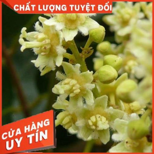 PHÂN BÓN MKP TẠO MẦM HOA⚡️HÀNG MỚI NHẤT⚡️phân hóa mầm hoa,tăng hoa cái,tăng thụ phấn, xử lý ra hoa trái vụ 2