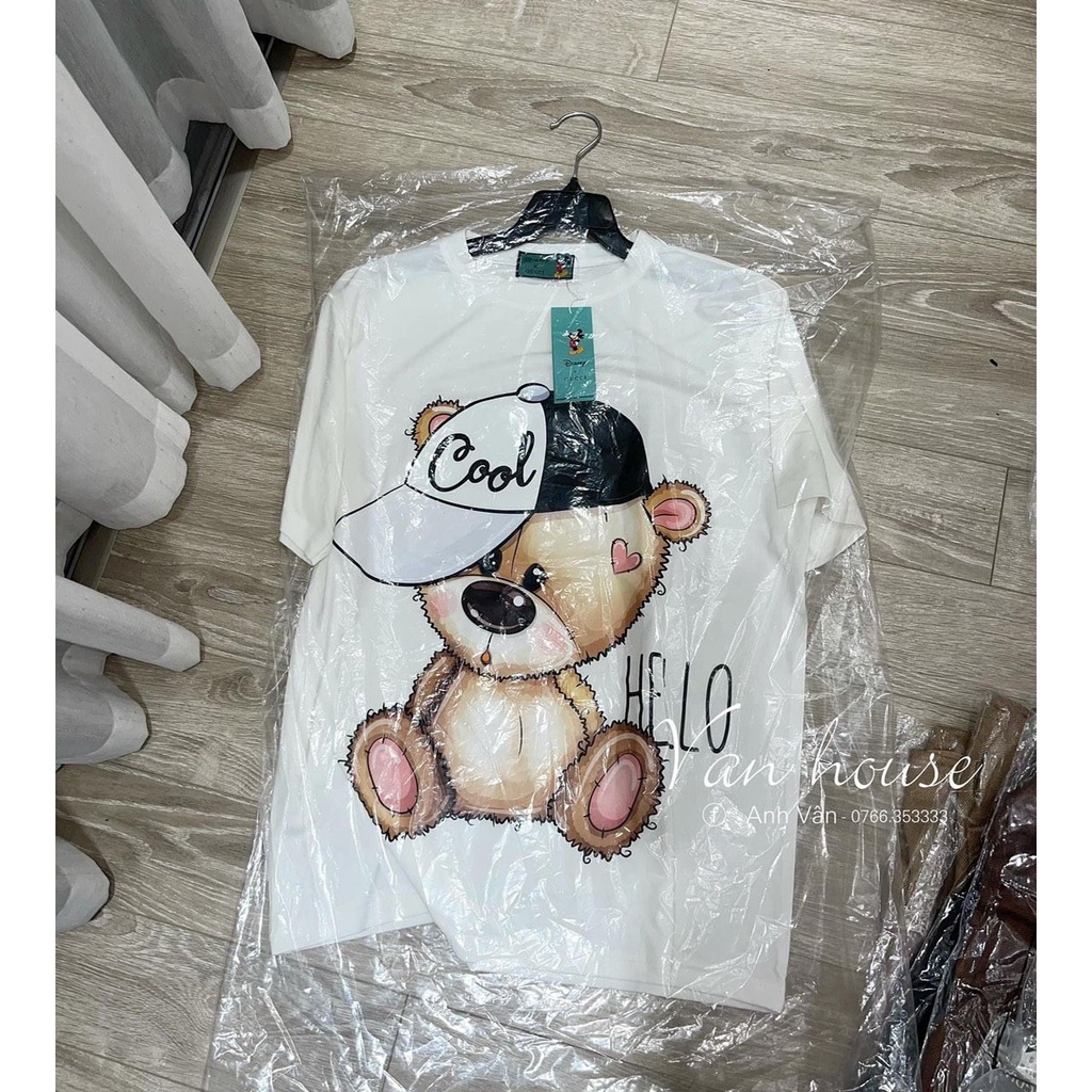 Áo phông mũ gấu Hello CooL