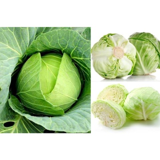 Rau củ quả tươi