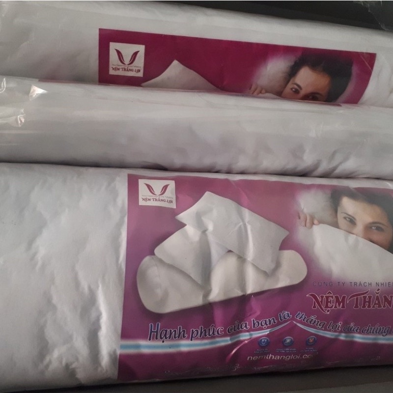 Gối bông Gòn gối hơi Cty thắng lợi kích thước 40x60 ,50x70,35x100