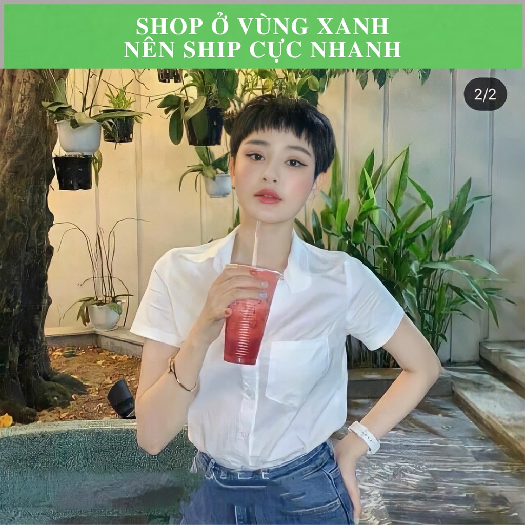 ÁO SƠ MI NỮ GU PURATO HIỀN HỒ NGẮN TAY CÓ TÚI HOTTREND MÀU TRẮNG, XANH NHẠT, XANH ...