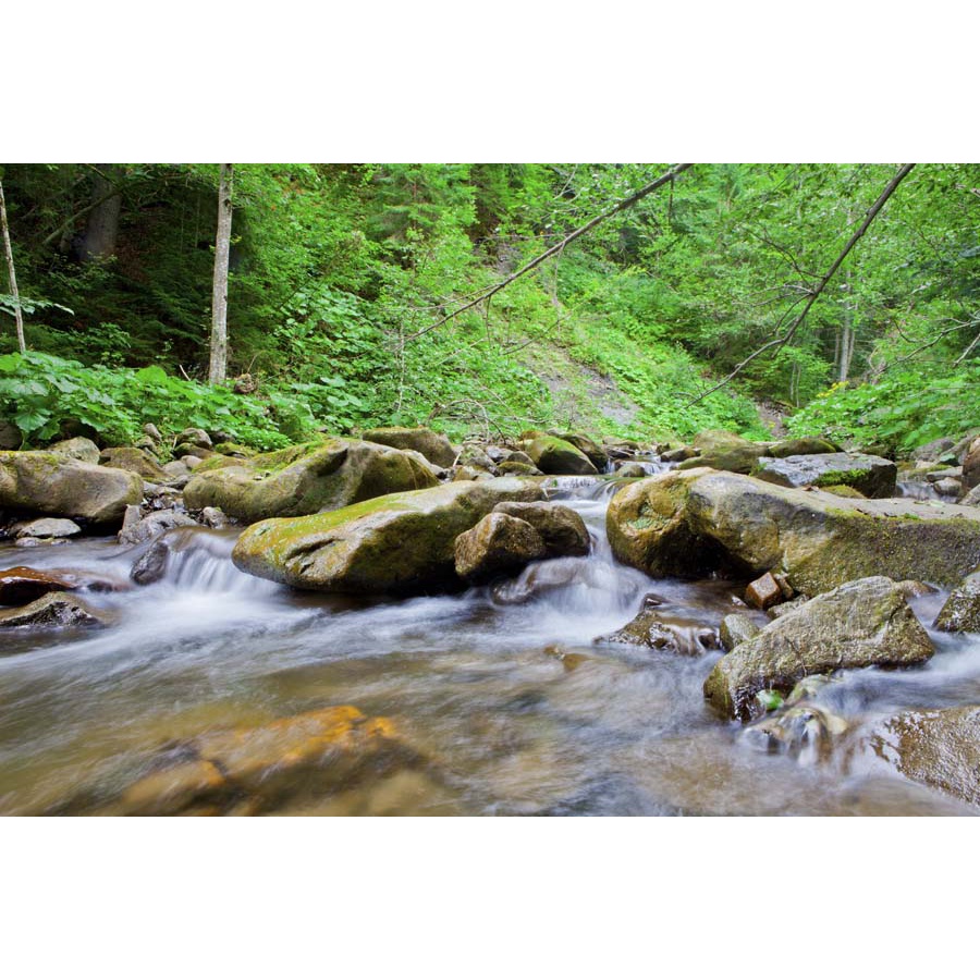 Tranh dán tường 3d thác nước thiên nhiên vẻ đẹp hùng vĩ, kỳ ảo với nhiều tầng, được bao quanh bởi những tán cây lớn