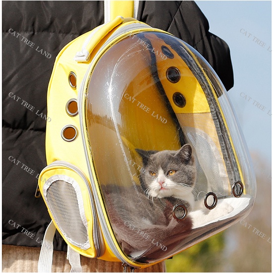 BALO VẬN CHUYỂN CHÓ MÈO, BA LÔ PHI HÀNH GIA TRONG SUỐT - LỒNG, TÚI VẬN CHUYỂN THÚ CƯNG