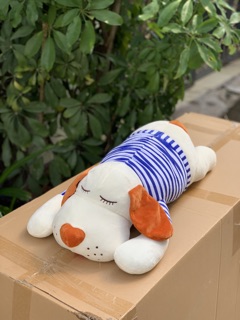 Chó mặt xệ tai dài mặc áo