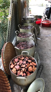 Cao hà thủ ô đỏ nhà làm