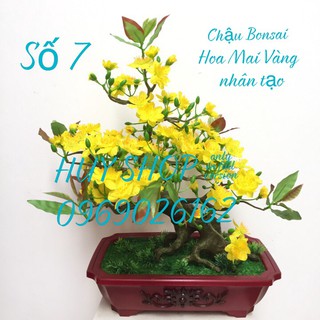 HOA TRANG TRÍ NGÀY TẾT - CHẬU BONSAI HOA MAI VÀNG NHÂN TẠO SỐ 7