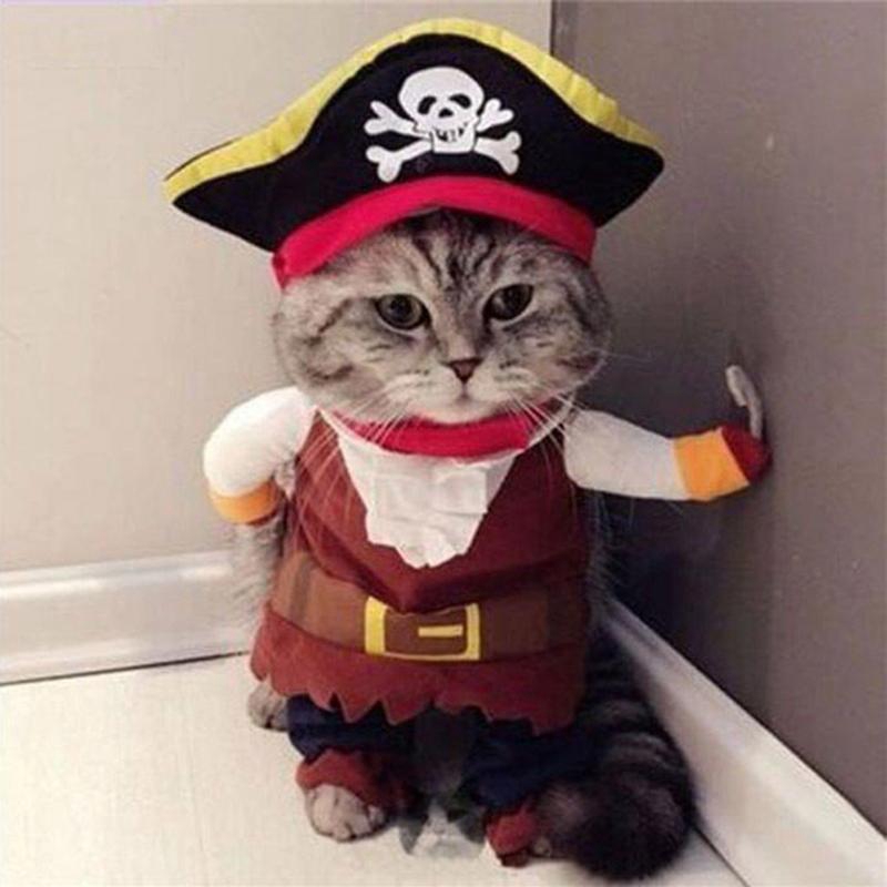 Funny Pet Cat Trang phục Pirate Skull Pattern Halloween Party Quần áo Trang phục