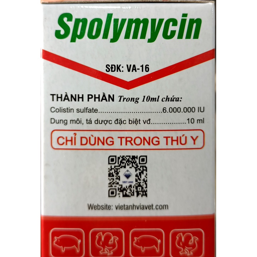 1 HỘP SPOLYMYCIN CHAI 10ML  PHÂN TRẮNG HEO CON, THƯƠNG HÀN, TOI...GÀ VỊT SPO DÙNG TRONG THÚ Y
